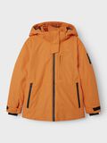 Shop the Look - nipsy2024w47thunov4_1736950888838_13233441_CelosiaOrange_003.jpg