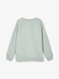 Name it RUND HALS SWEATSHIRT, Iceberg Green, highres - 13192396_IcebergGreen_004.jpg