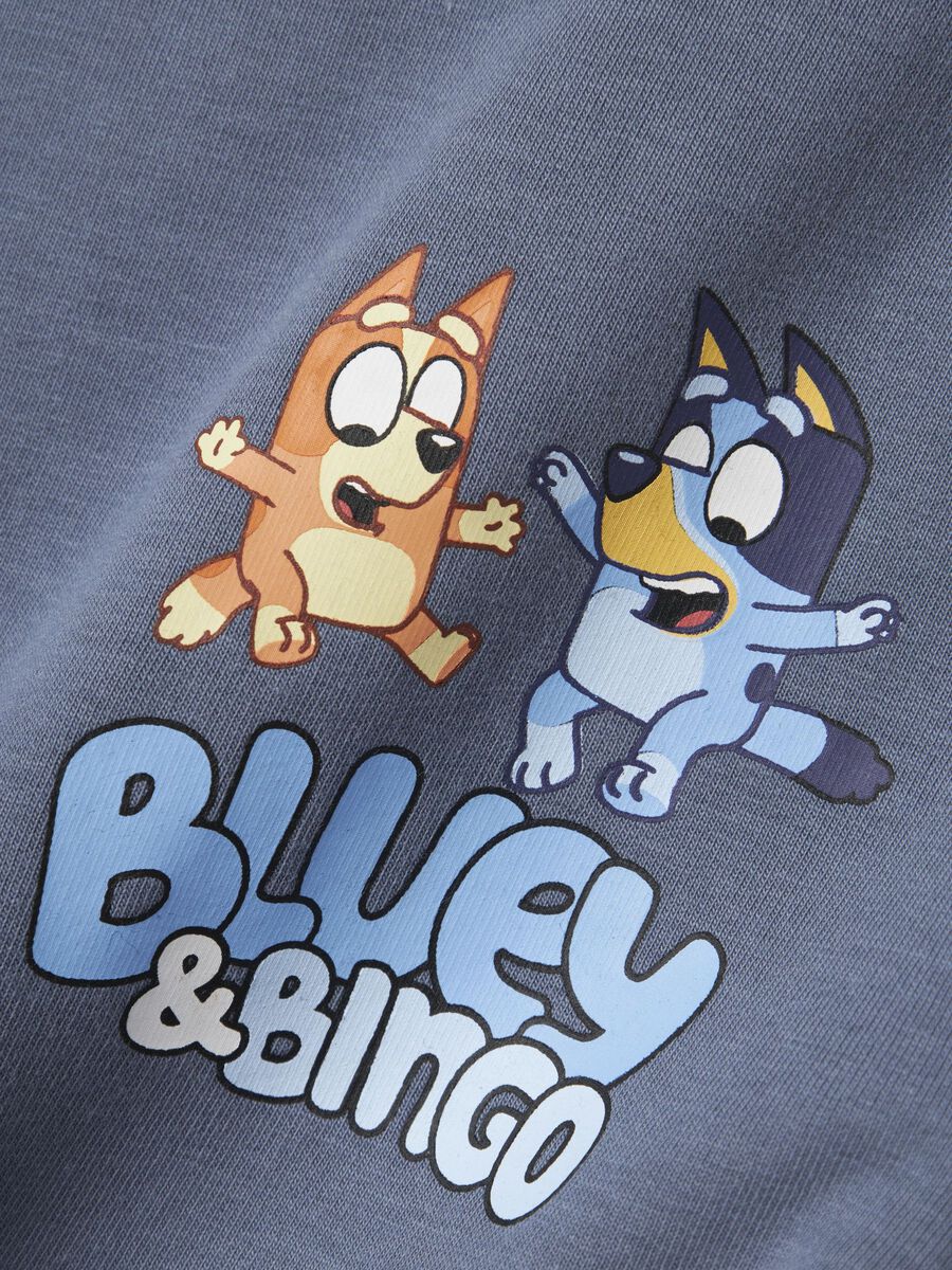 name it BLUEY SWEATSHIRT, Flint Stone, highres - 13245524_FlintStone_005.jpg