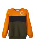 Name it COLOUR BLOCK SWEATSHIRT, Rosin, highres - 13203041_Rosin_001.jpg