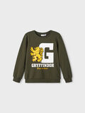 Product image thumbnail - HARRY POTTER GRYFFINDOR SWEATSHIRT, Rosin | 1