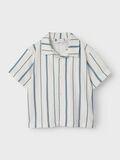 name it STRIPED SHIRT, White Alyssum, highres - 13247457_WhiteAlyssum_1215901_003.jpg