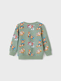 Name it À MOTIF PAW PATROL SWEAT-SHIRT, Hedge Green, highres - 13201005_HedgeGreen_002.jpg