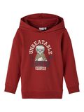 Name it PRINTED LONG SLEEVED SWEATSHIRT, Chili Oil, highres - 13193550_ChiliOil_001.jpg