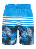 Name it LANGE BADESHORTS, Strong Blue, highres - 13163084_StrongBlue_002.jpg