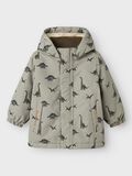name it SNOW10 JAS, Laurel Oak, highres - 13229863_LaurelOak_003.jpg