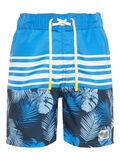 Name it LONG SWIMSHORTS, Strong Blue, highres - 13163084_StrongBlue_001.jpg