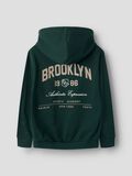 Product image thumbnail 2 BIOBAUMWOLL HOODIE, Pine Grove