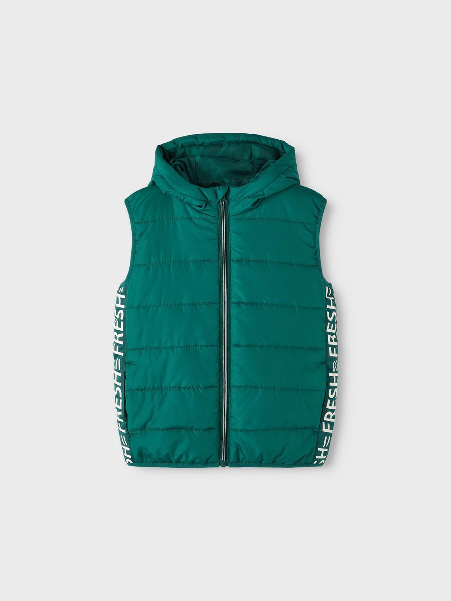 Name it PUFFER GILET, Forest Biome, highres - 13211840_ForestBiome_003.jpg