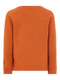 Name it PRINTED LONG-SLEEVED T-SHIRT, Umber, highres - 13170634_Umber_002.jpg