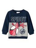 Name it SPIDEY SUDADERA, Dark Sapphire, highres - 13219790_DarkSapphire_001.jpg