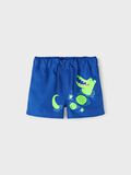 Name it LONG SWIM SHORTS, Surf the Web, highres - 13213924_SurftheWeb_003.jpg