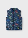 name it PUFFER GILET, Sargasso Sea, highres - 13237568_SargassoSea_1156996_003.jpg