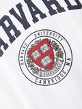 Name it HARVARD T-SHIRT, Bright White, highres - 13205394_BrightWhite_005.jpg