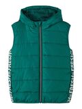 Name it PUFFER GILET, Forest Biome, highres - 13211840_ForestBiome_001.jpg