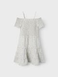 name it SHORT DRESS, White Alyssum, highres - 13244902_WhiteAlyssum_1211599_003.jpg