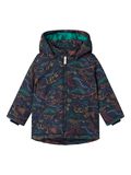 name it PRINTED JACKET, Dark Sapphire, highres - 13232556_DarkSapphire_1121387_001.jpg