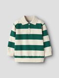 Product image thumbnail 1 POLO SWEATSHIRT, Evergreen