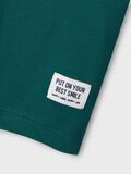 name it ORGANIC COTTON T-SHIRT, Forest Biome, highres - 13241217_ForestBiome_005.jpg