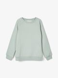 Name it CREW NECK SWEATSHIRT, Iceberg Green, highres - 13192396_IcebergGreen_003.jpg