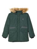 name it STEPP WINTERJACKE, Darkest Spruce, highres - 13178646_DarkestSpruce_001.jpg