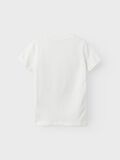 name it POKEMON T-SHIRT, White Alyssum, highres - 13219099_WhiteAlyssum_002.jpg