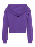 Name it PRINT SWEATSHIRT, Pansy, highres - 13176422_Pansy_002.jpg