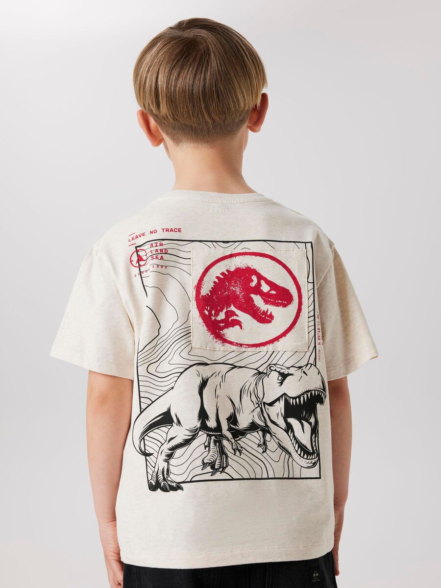 name it JURASSIC PARK T-SHIRT, Peyote Melange, highres - 13245087_PeyoteMelange_008.jpg