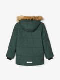 name it STEPP WINTERJACKE, Darkest Spruce, highres - 13178646_DarkestSpruce_004.jpg