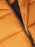 Name it PUFFER JACKET, Thai Curry, highres - 13192648_ThaiCurry_004.jpg