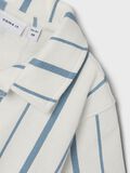 name it STRIPED SHIRT, White Alyssum, highres - 13247457_WhiteAlyssum_1215901_005.jpg