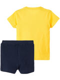 Name it PACK DE BERMUDAS, Daffodil, highres - 13170604_Daffodil_002.jpg