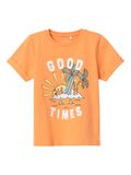 Name it PRINT T-SHIRT, Mock Orange, highres - 13216957_MockOrange_001.jpg