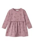 name it BIOLOGISCH KATOEN JURK, Elderberry, highres - 13238951_Elderberry_001.jpg