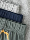 Product image thumbnail 3 3 PACK ORGANIC COTTON BOXER SHORTS, Urban Chic