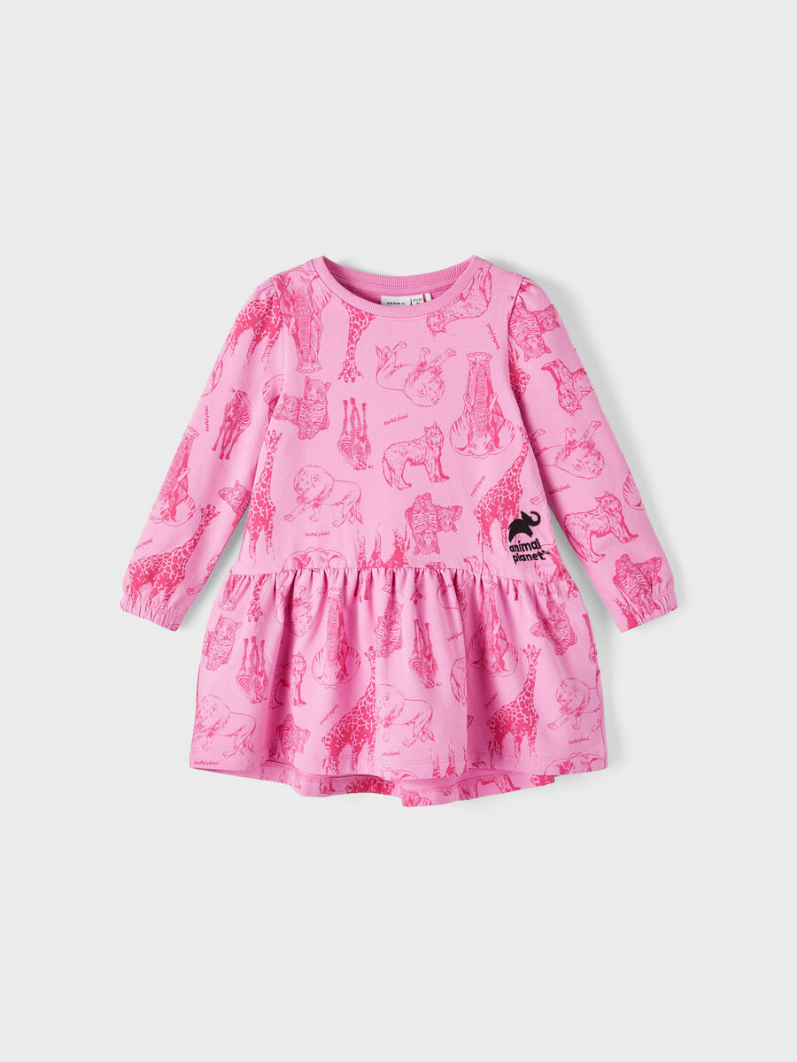 name it ANIMAL PLANET VESTIDO, Cyclamen, highres - 13212439_Cyclamen_003.jpg