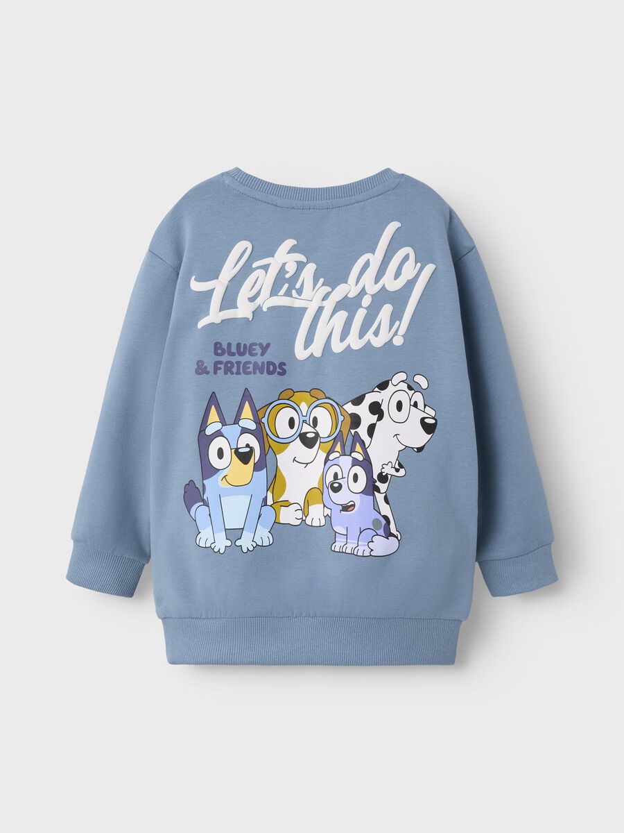 name it BLUEY SWEATSHIRT, Spring Lake, highres - 13247775_SpringLake_002.jpg