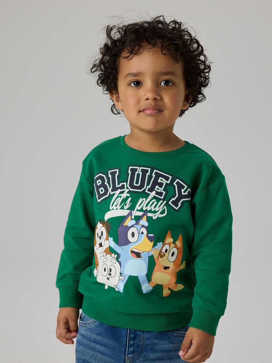Product carousel image - BLUEY SWEATSHIRT, Verdant Green | 1