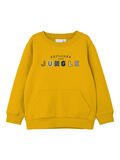 Name it COUPE CLASSIQUE SWEAT-SHIRT, Daylily, highres - 13206622_Daylily_001.jpg