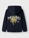 name it POKEMON HOODIE, Dark Sapphire, highres - 13236240_DarkSapphire_002.jpg