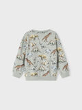 name it IMPRIMÉ DINOSAURE SWEAT-SHIRT, Wrought Iron, highres - 13195198_WroughtIron_004.jpg