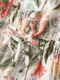 name it JUMPSUIT, White Alyssum, highres - 13200478_WhiteAlyssum_005.jpg