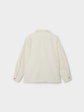 name it DE GRAN TAMAÑO SOBRECAMISA, Turtledove, highres - 13218586_Turtledove_002.jpg