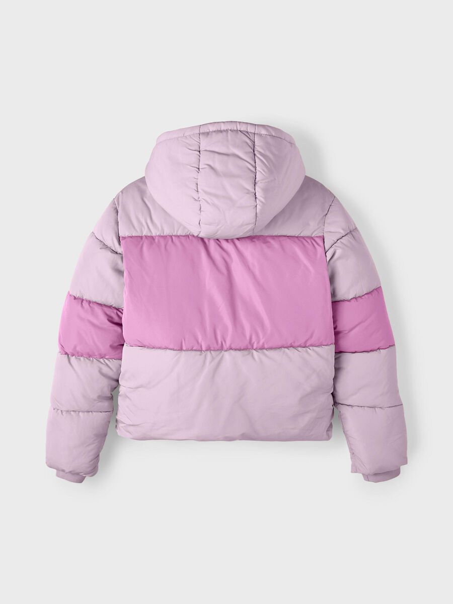 name it KURTKA, Lilac Snow, highres - 13220082_LilacSnow_002.jpg