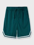 Name it REGULAR FIT SHORTS, Forest Biome, highres - 13241084_ForestBiome_003.jpg
