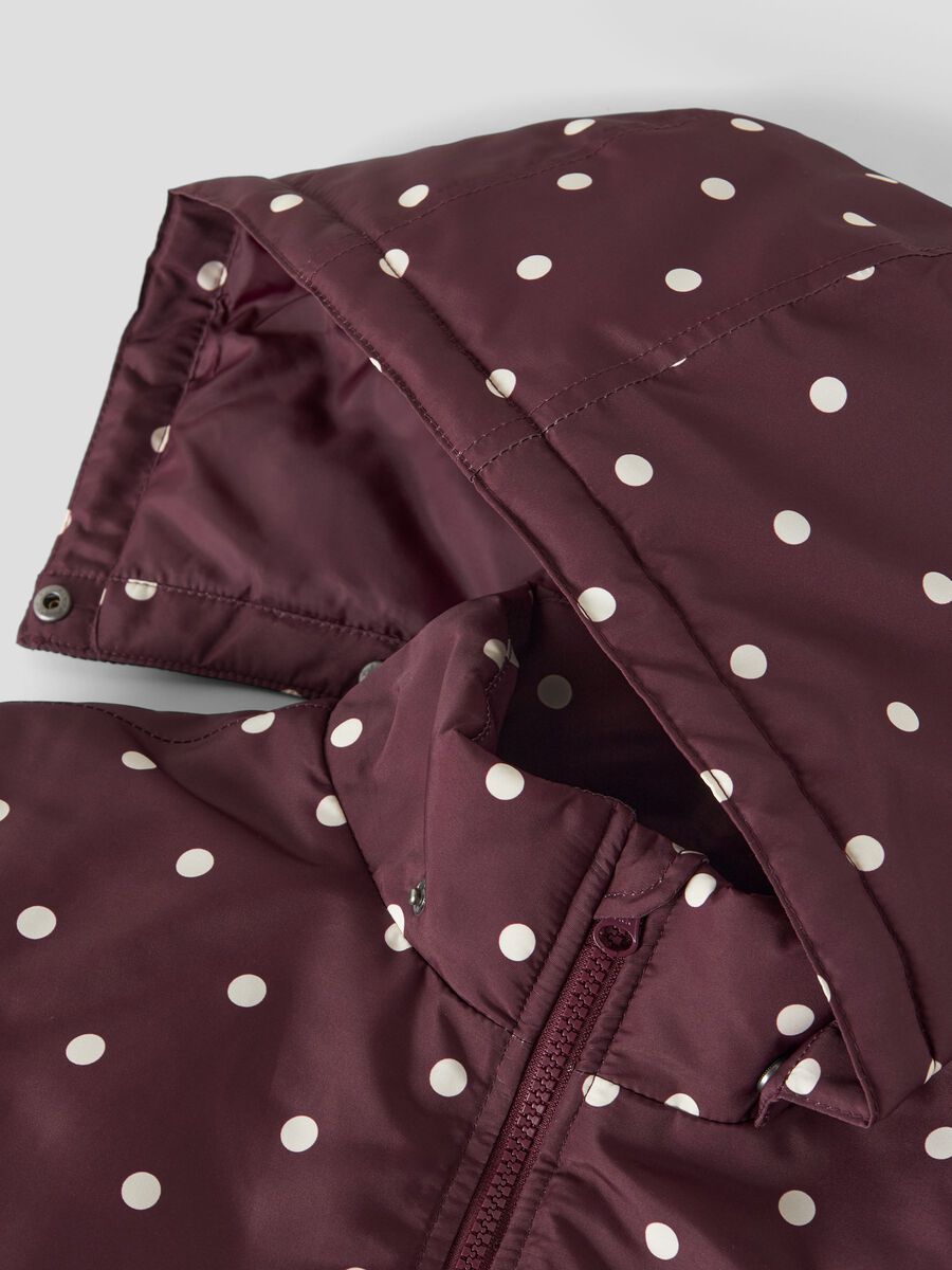 Carousel image 5 MAXI JACKE, Fig