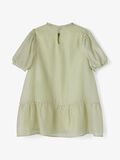 Name it SHORTSLEEVE JURK, Desert Sage, highres - 13188254_DesertSage_004.jpg