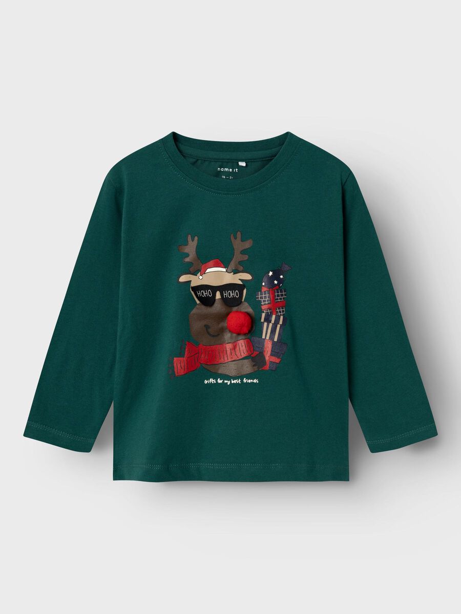 name it CHRISTMAS LONG SLEEVED TOP, Botanical Garden, highres - 13234532_BotanicalGarden_003.jpg