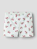 name it PRINTED SHORTS, Aqua Glass, highres - 13215235_AquaGlass_1190586_002.jpg