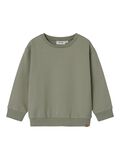 name it BIOLOGISCH KATOEN SWEATSHIRT, Seagrass, highres - 13246952_Seagrass_001.jpg
